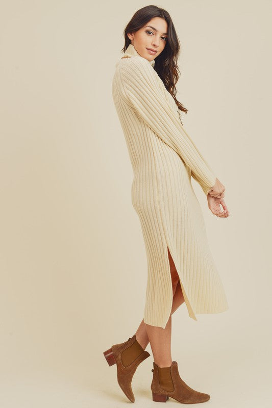 Turtle Neck Sweater Dress