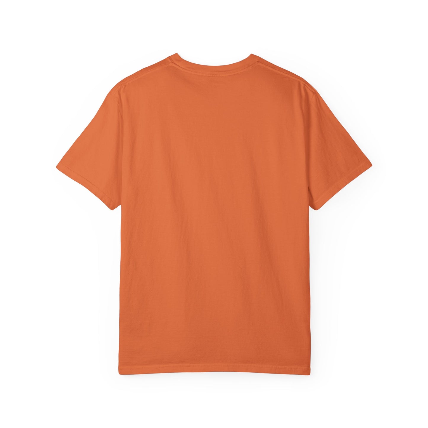3 - Akin Road Elementary Comfort Colors Tee