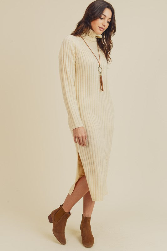 Turtle Neck Sweater Dress